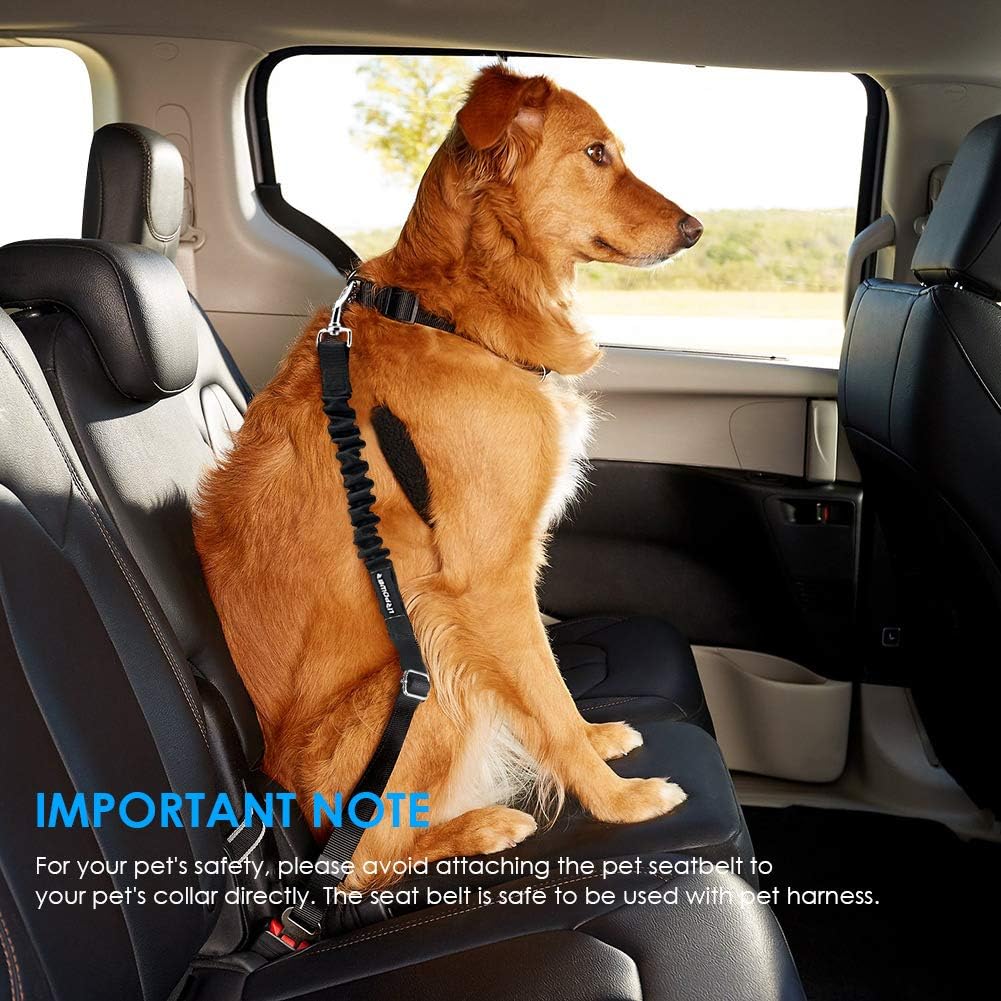 URPOWER pet seat belt with elastic bungee buffer detail