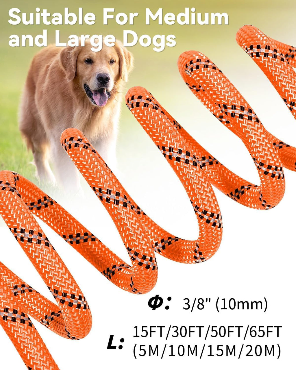 Joytale heavy duty dog lead showing rust resistant hardware details