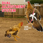 Revoloza chicken diaper packaging and accessories view