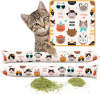 Full set of two Kitty Kick Stix kicker toys arranged for display