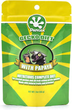 Pangea Gecko Diet with Watermelon 2 oz - Image 12