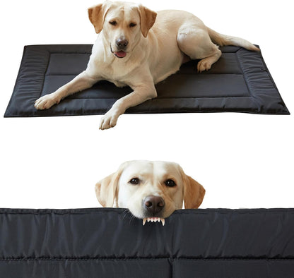 Couzssyhi chew proof dog bed black large view