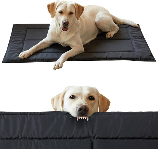 Couzssyhi chew proof dog bed black large view