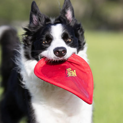 Nerf Dog flying disc showing texture for easy gripping