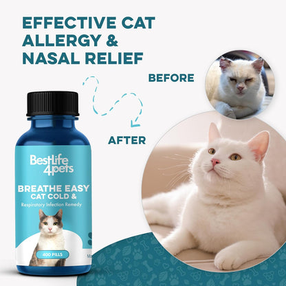 Infographic showing natural plant ingredients for feline breathing support