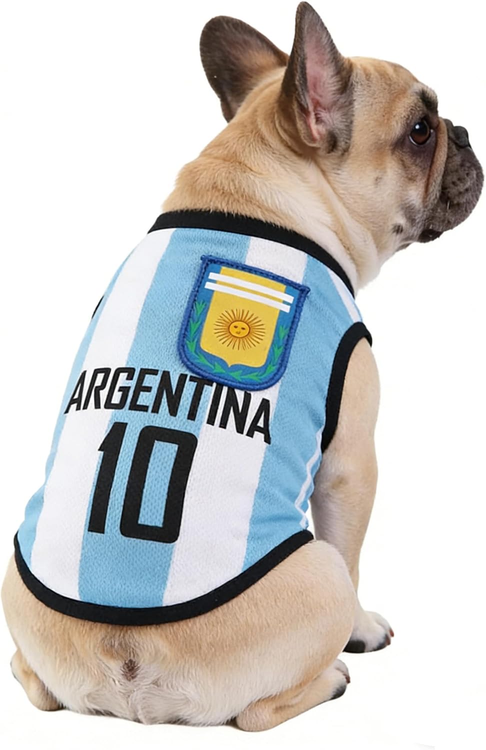 Medium dog playing in 2026 World Cup pet costume