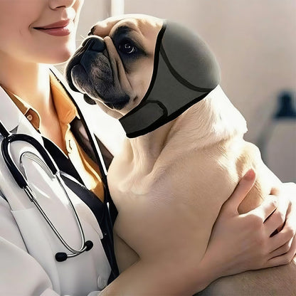 Dog wearing gray waterproof ear wrap during a swimming session