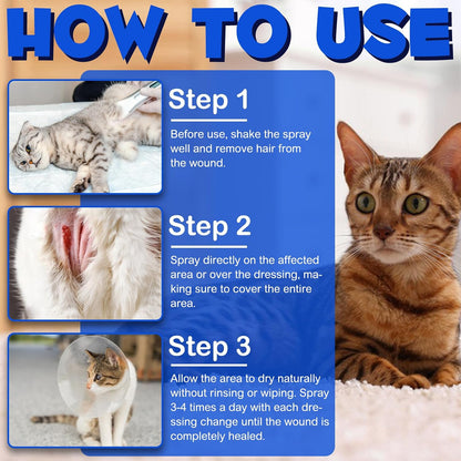 Applying ALIVO healing spray to a cat with irritated skin
