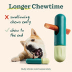 Dishwasher safe dog chew toy by Woof