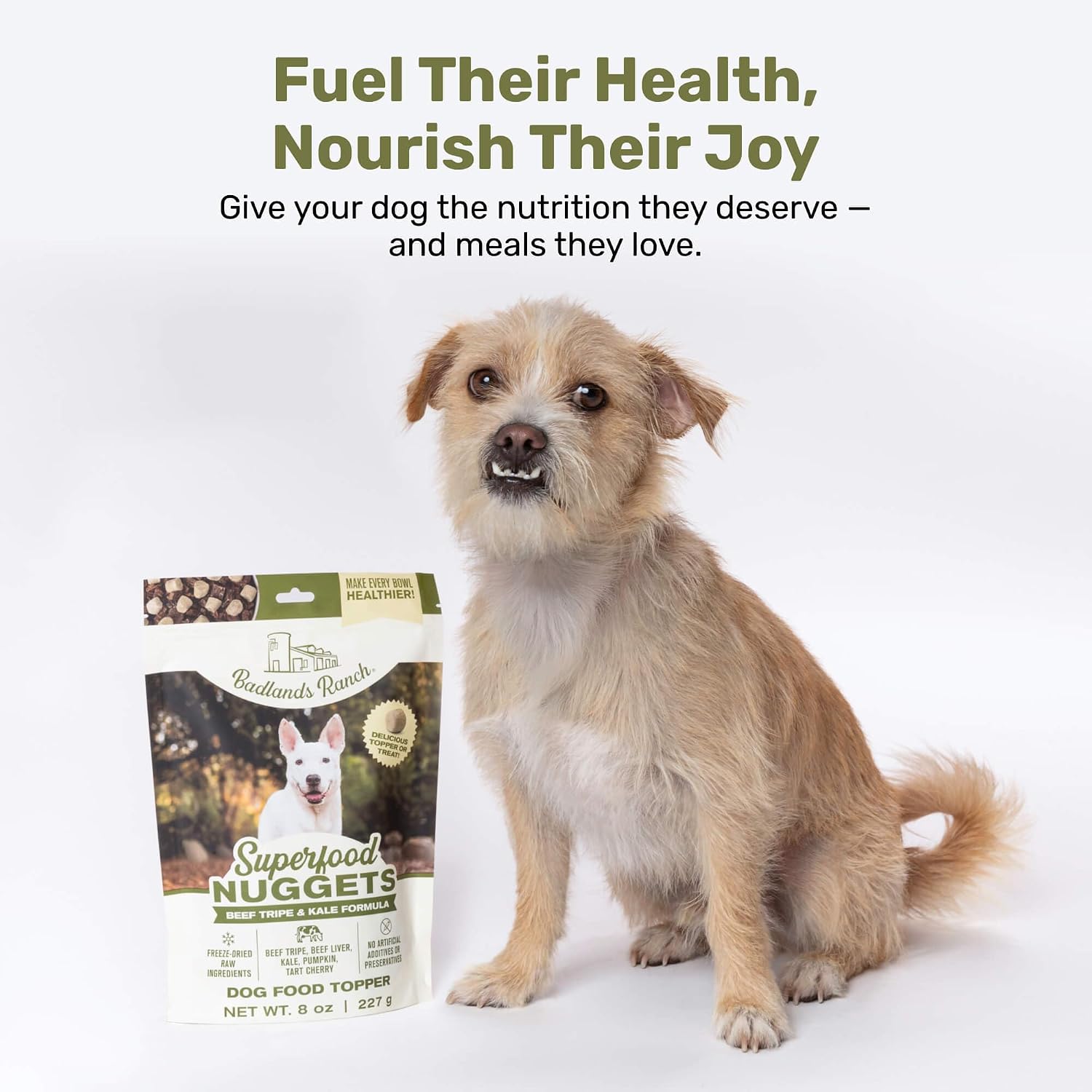 Nutrient dense beef liver and tripe dog treat nuggets