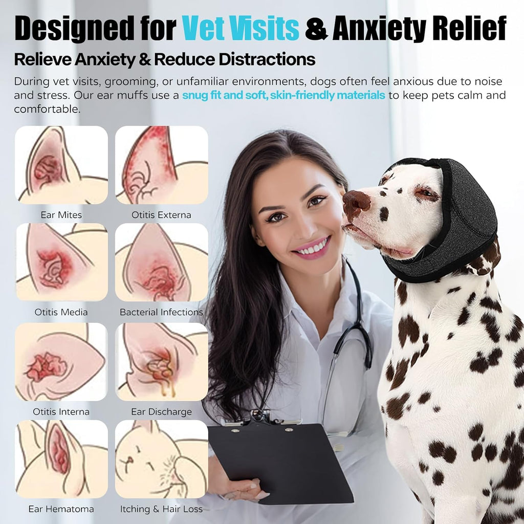 Dog wearing grey ear wrap for hematoma recovery
