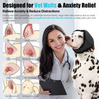 Dog wearing grey ear wrap for hematoma recovery