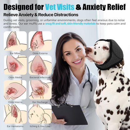 Dog wearing grey ear wrap for hematoma recovery