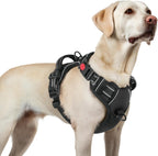 rabbitgoo Dog Harness for Large, No Pull Easy On & Off with 3 Buckles Pet Harness, Adjustable Soft Walking Vest with 2 Clips and Handle, Reflective for Large Dogs, Blue, L - Image 11