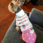 CHBORCHICEN pink dog sweater medium size displayed flat to illustrate soft woolen texture.
