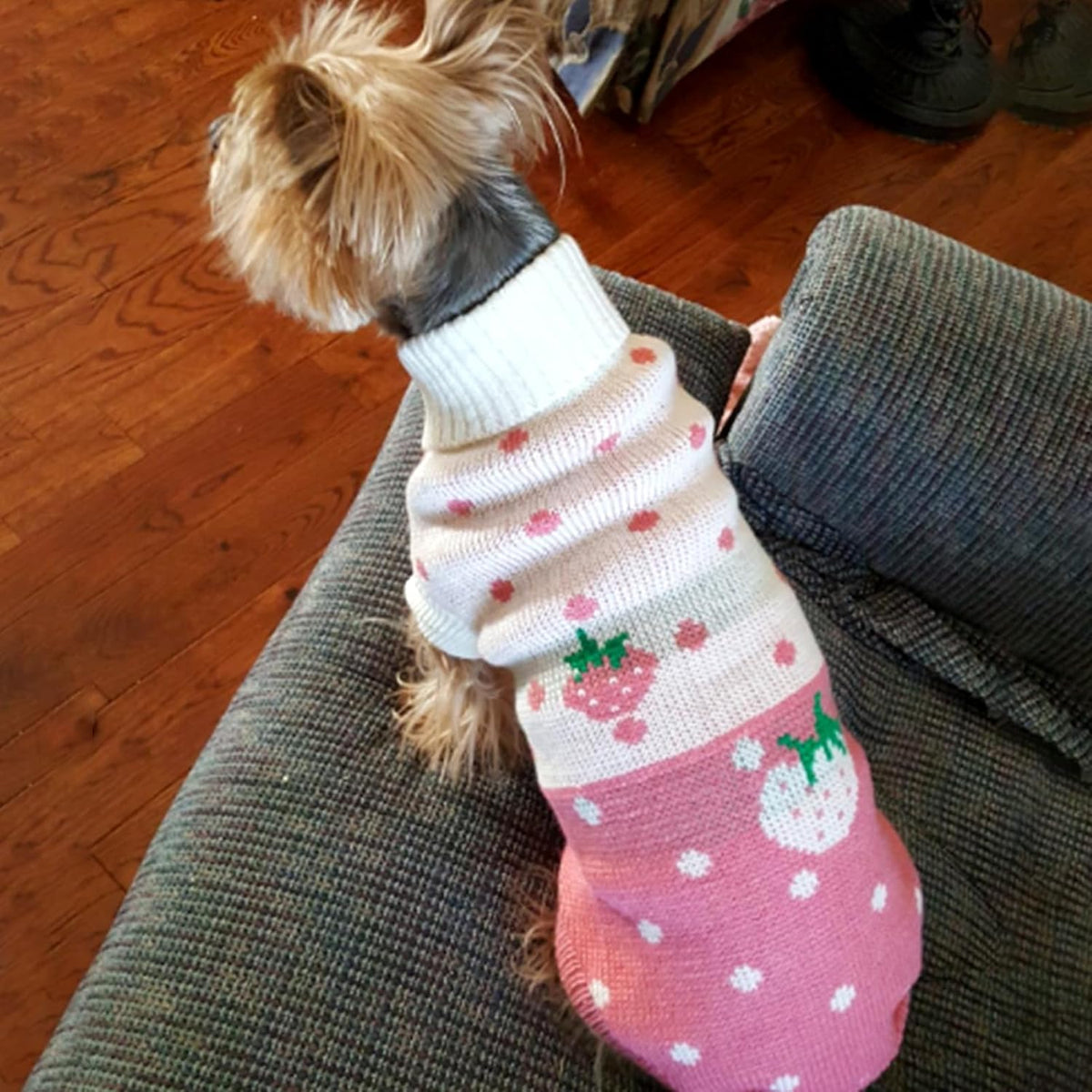 CHBORCHICEN pink dog sweater medium size displayed flat to illustrate soft woolen texture.