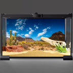 Awert reptile habitat background front view