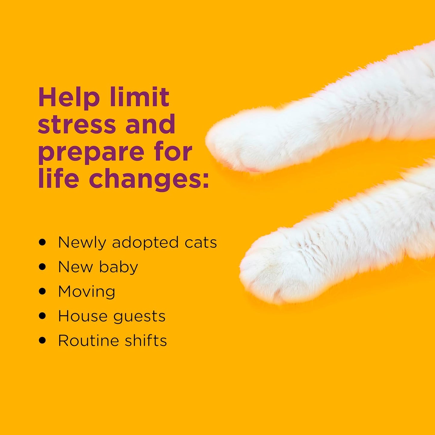 Comfort Zone cat pheromone refill bottle close up showing product details.