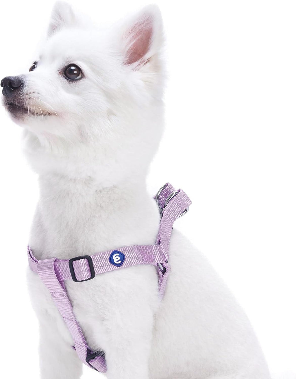 Blueberry Pet Essentials Step-in Dog Harness, Small Size | Adjustable Fired Brick Vest | Classic Solid Nylon for Boy & Girl Dogs, Chest Girth 16.5" - 21.5" - Image 10