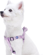 Blueberry Pet Essentials Step-in Dog Harness, Small Size | Adjustable Fired Brick Vest | Classic Solid Nylon for Boy & Girl Dogs, Chest Girth 16.5" - 21.5" - Image 10
