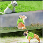 Adjustable straps on a green small dog harness vest.