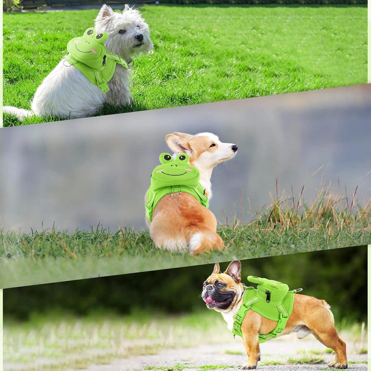 Adjustable straps on a green small dog harness vest.