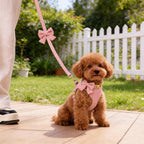 Lwbmg pink dog harness set accessories flat lay