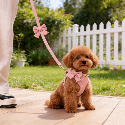 Lwbmg pink dog harness set accessories flat lay