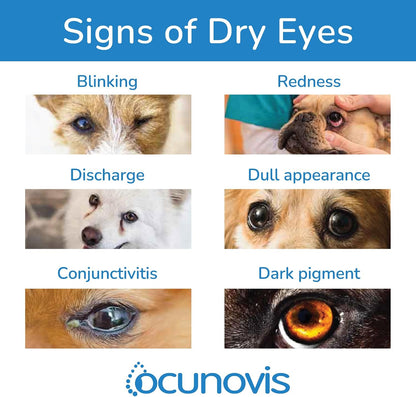 Sentrx Ocunovis Gel Eye Drops for Dogs & Cats, Eye Lube for Dogs Allergy Relief Lubricant, Dogs with Dry Eyes, Artificial Tears, 10 ml - Image 9