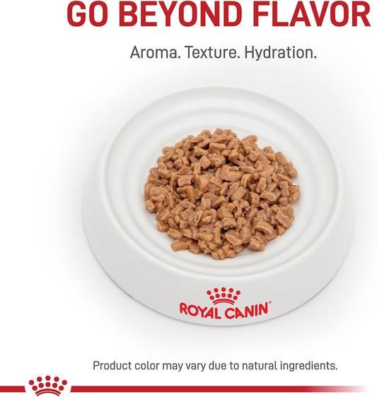 Royal Canin Renal Support T thin slices in gravy 6 pack box presentation