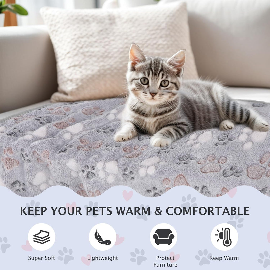 Cute kitten snuggling inside the soft BVAGSS fleece blanket inside a pet carrier.