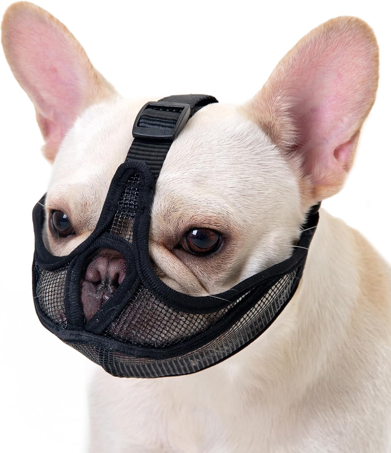 Herrypiggy French Bulldog Muzzle front view black mesh