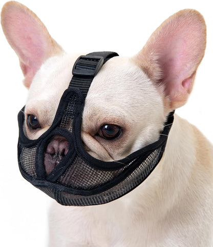 Herrypiggy French Bulldog Muzzle front view black mesh