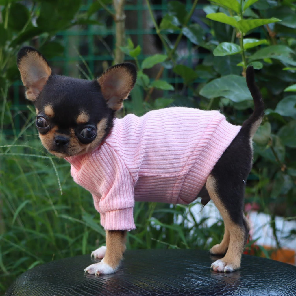 Lophipets authentic imported dog winter clothes sizing guide display
