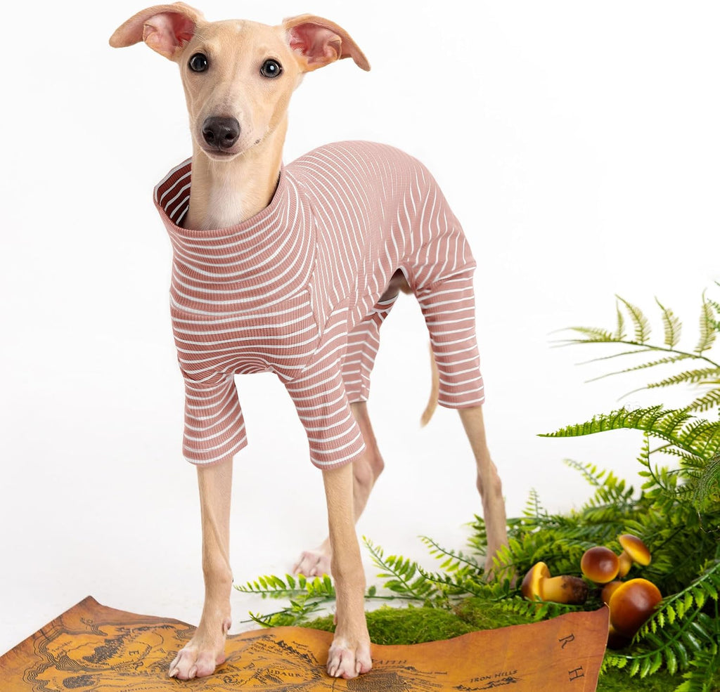 Haloumoning ribbed cotton pet bodysuit back view showing full stripe pattern