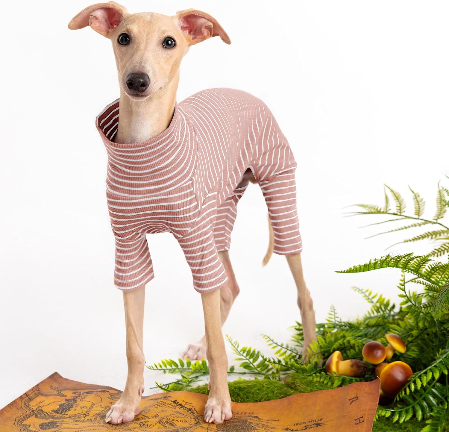 Haloumoning ribbed cotton pet bodysuit back view showing full stripe pattern