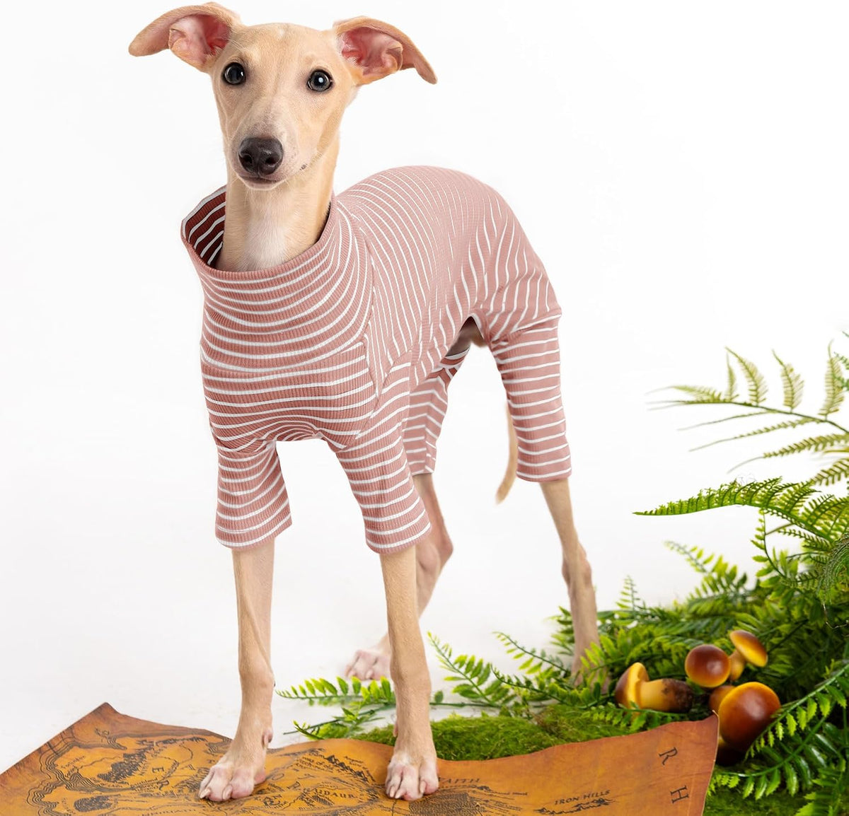 Haloumoning ribbed cotton pet bodysuit back view showing full stripe pattern