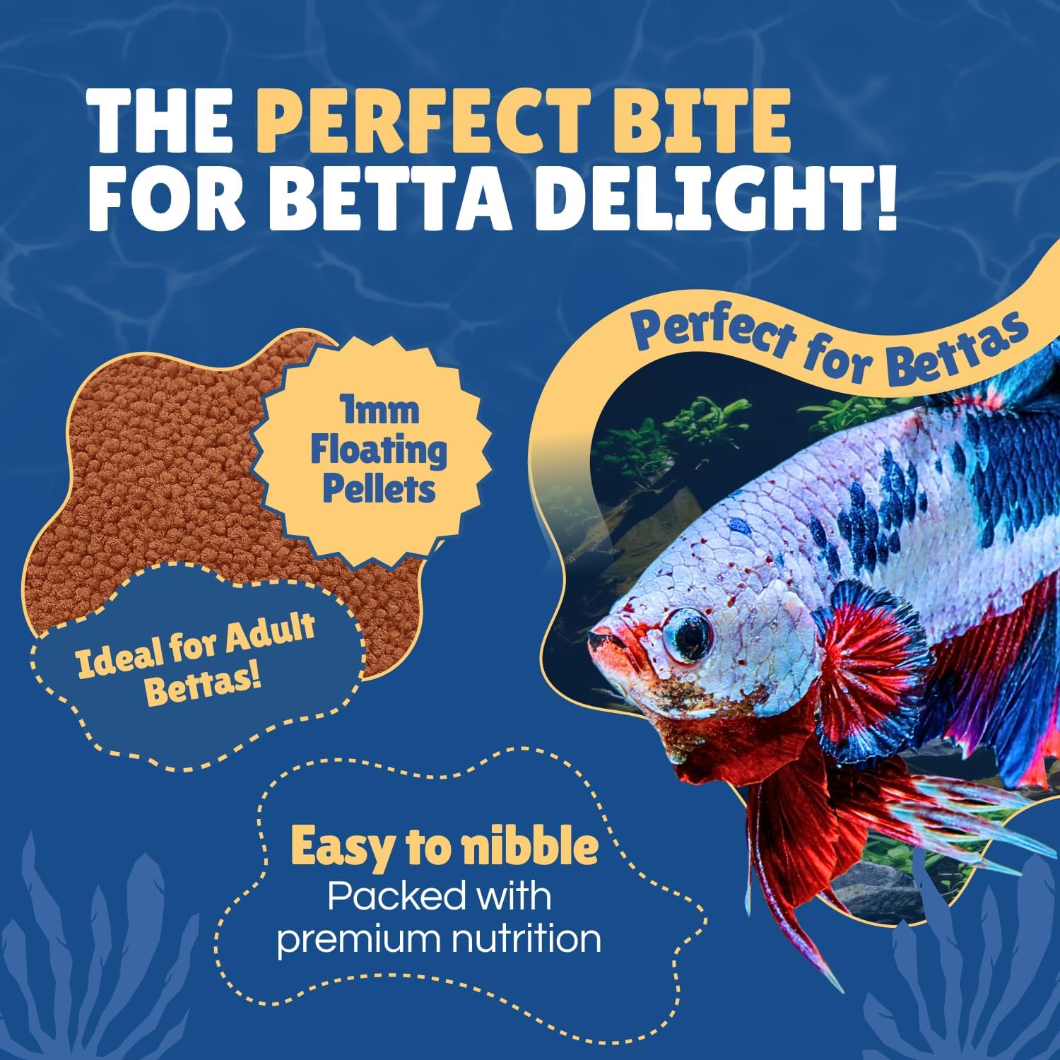Perky Fins Betta Boost Pops premium imported aquarium feed container for vibrant betta fish.