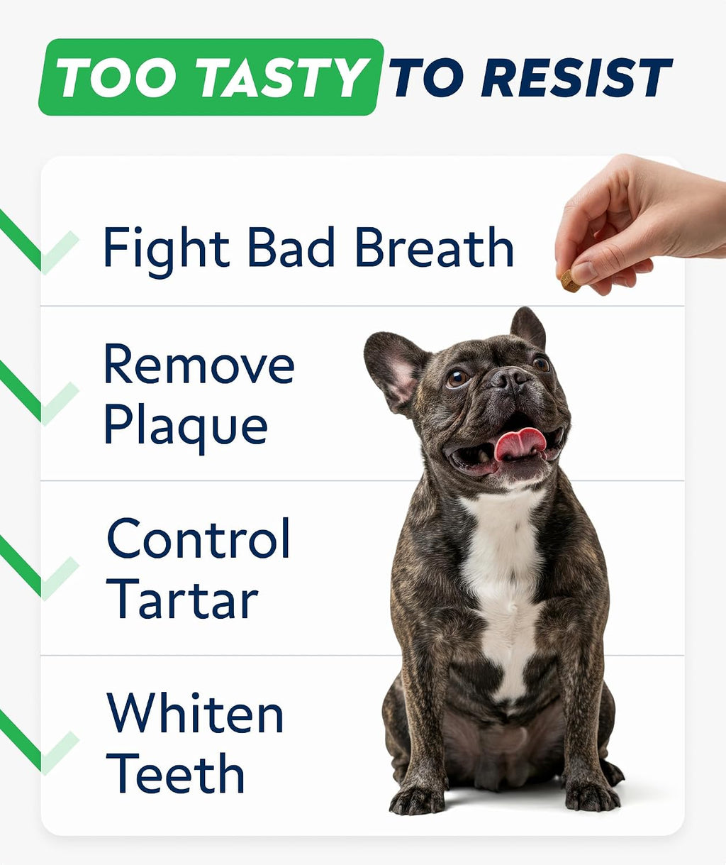 Strellalab dental treats for dog oral health care