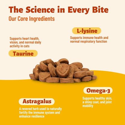 Back label of Multibites cat supplement detailing L-lysine and taurine active ingredients.