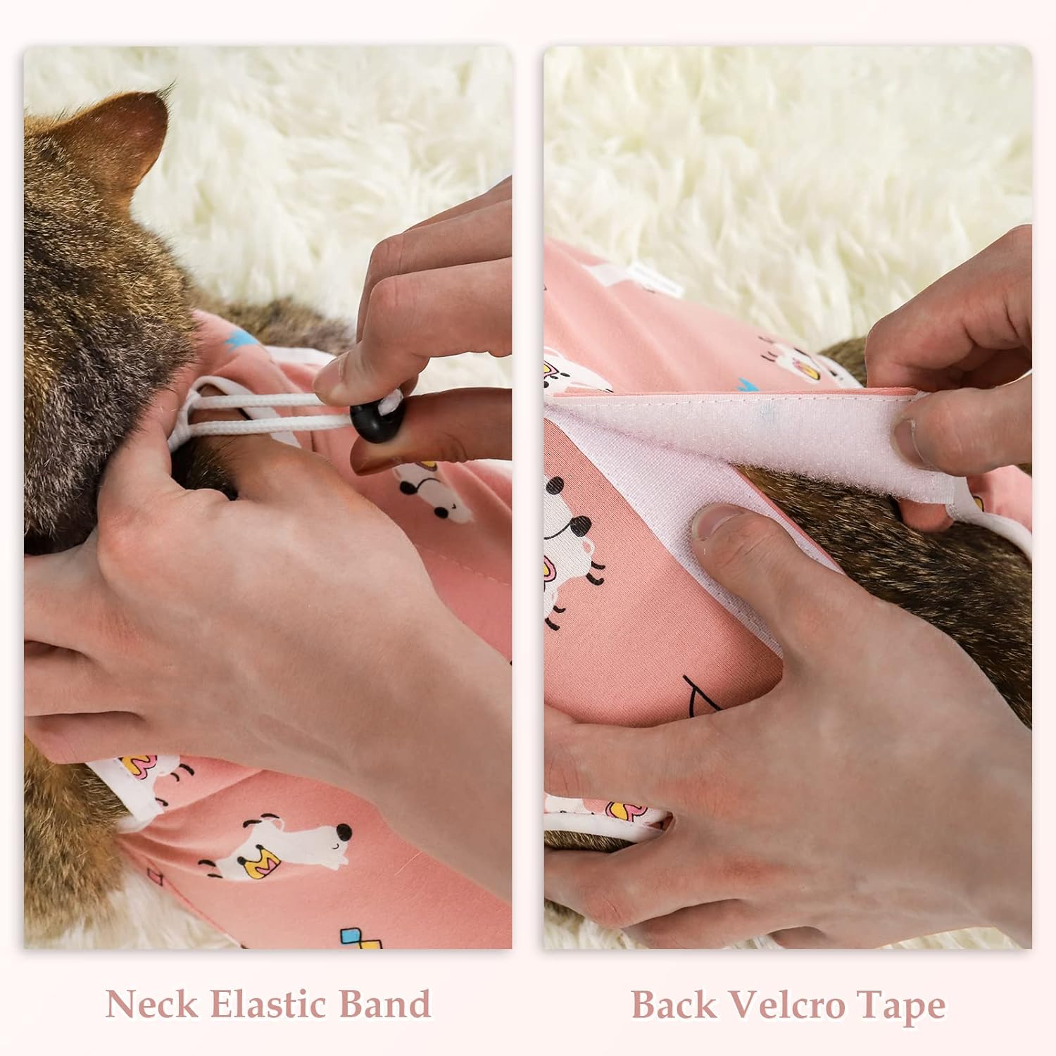 ANWA premium cat spaying bodysuit close-up on the adjustable neck elastic.