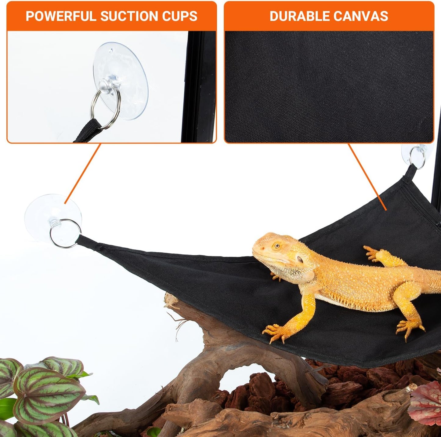 Close up of dimming temperature controller for reptile heat mat