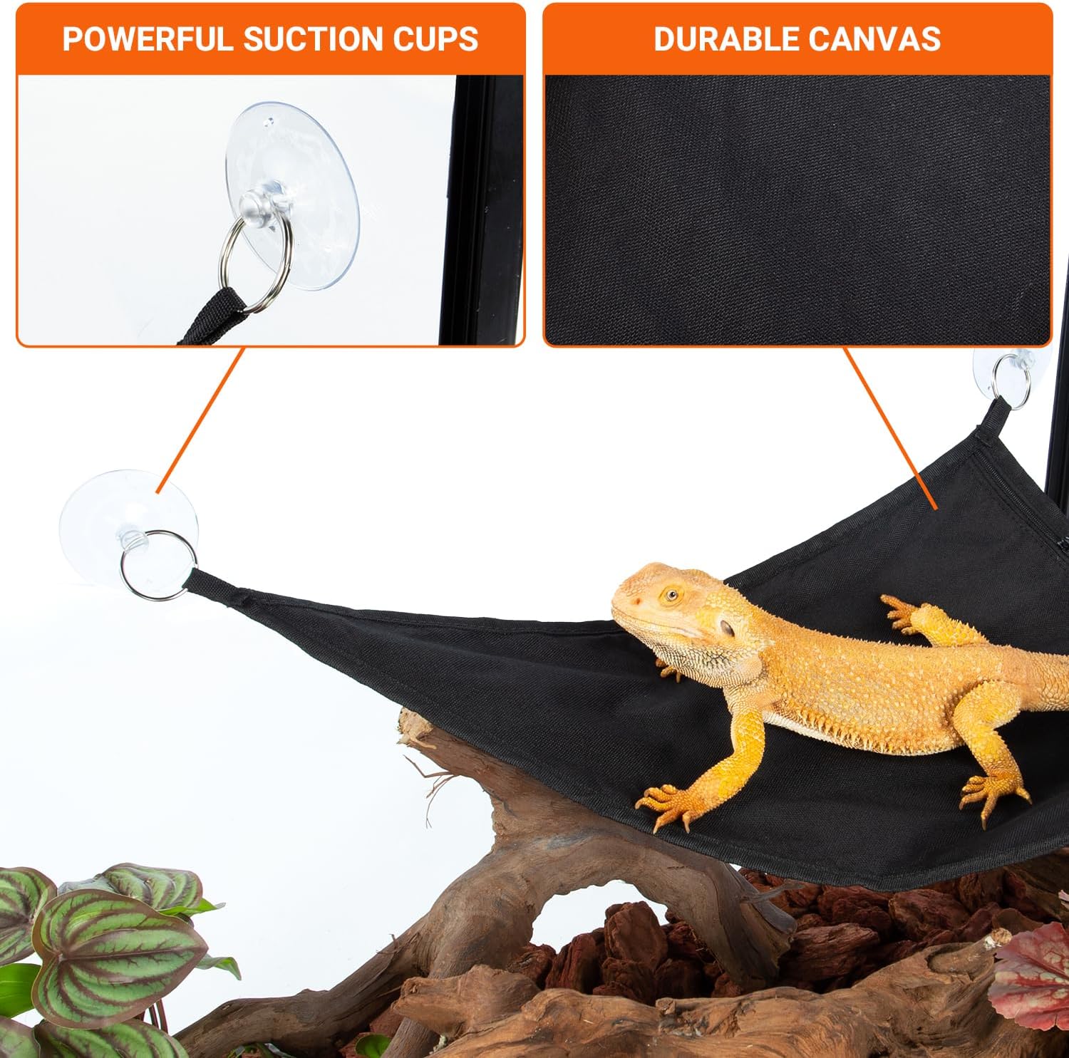 Close up of dimming temperature controller for reptile heat mat