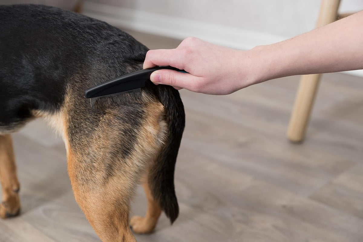 Professional pet grooming tool for parasite removal