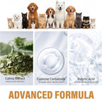 Verdoria pet bathroom guide spray bottle next to a domestic puppy on an artificial turf mat