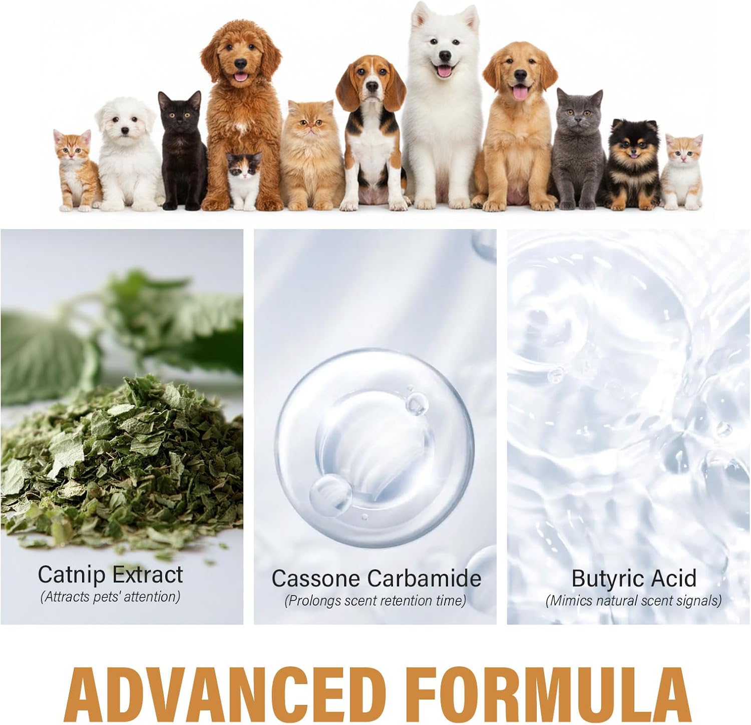 Verdoria pet bathroom guide spray bottle next to a domestic puppy on an artificial turf mat