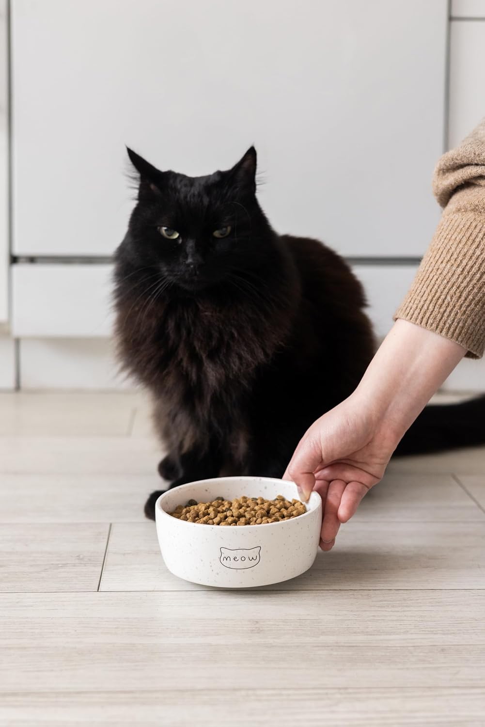 Pearhead Ceramic Meow Cat Bowl, Holds 12 oz, Modern Speckled White - Image 11