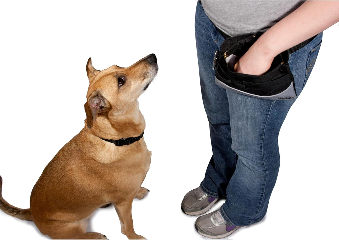PetSafe training pouch with front storage pocket detail