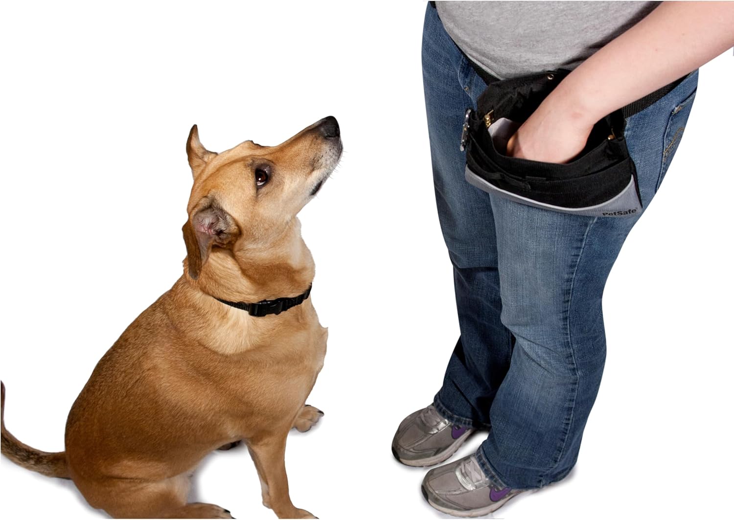 PetSafe training pouch with front storage pocket detail