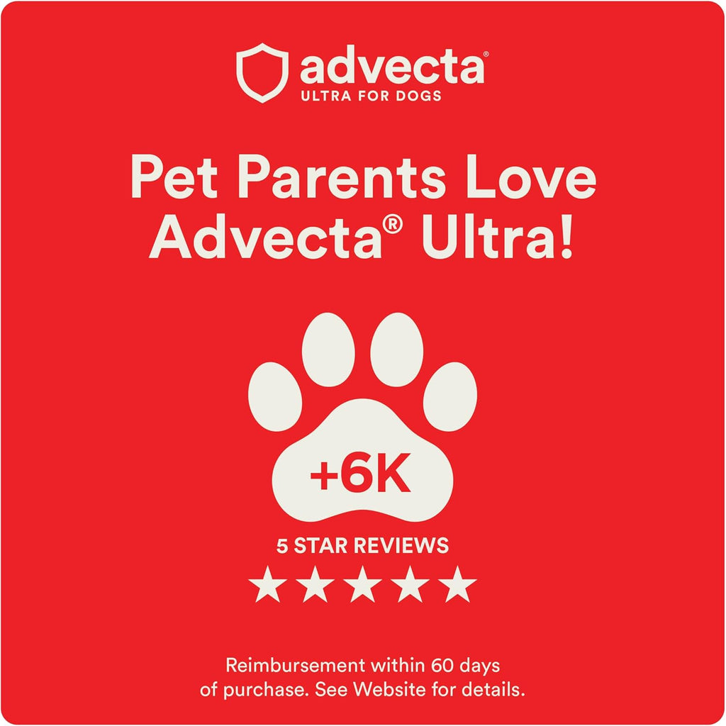 Advecta Ultra dog flea treatment four doses blister pack